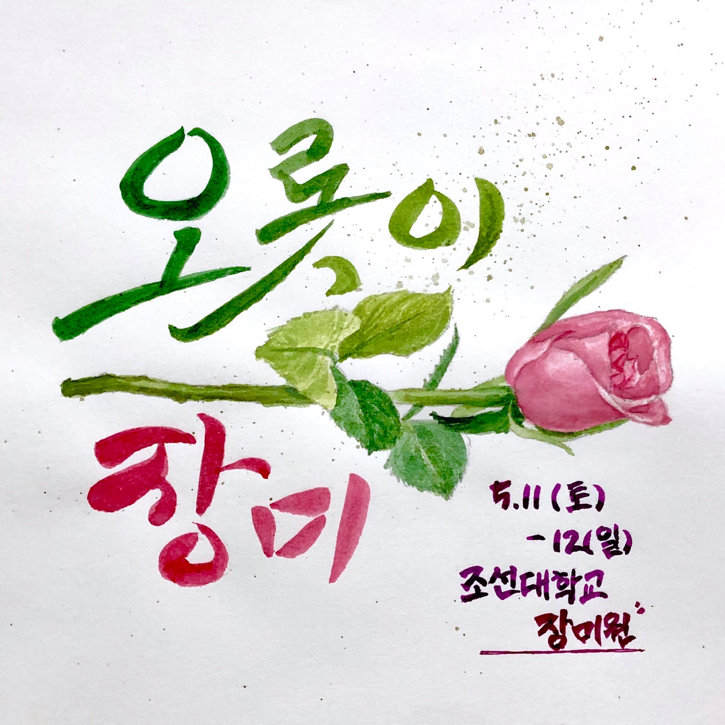 제17회 조선대학교 장미축제 대표이미지