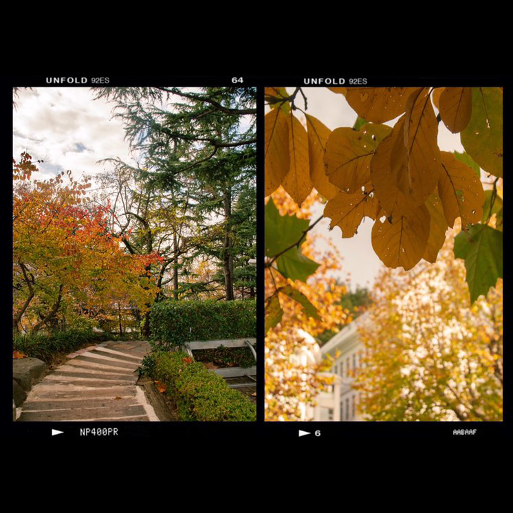 단풍으로 물든 조선대학교  대표이미지