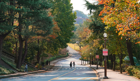 창업·글로컬·건축 성과로 ‘미래 경쟁력’ 증명하다 대표이미지