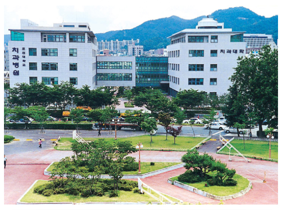 치과대학/병원 THUMBNAIL