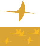 조선대학교 패턴