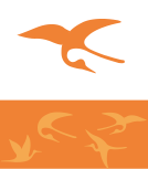 조선대학교 패턴