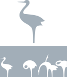 조선대학교 패턴