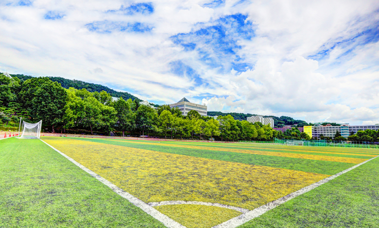 대운동장 전경 사진